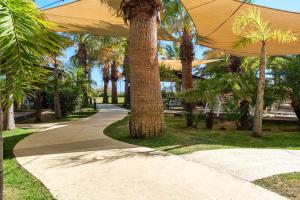 a sidewalk with a large umbrella next to a palm tree at Estival Islantilla in Islantilla