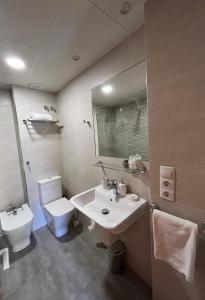 a bathroom with a sink and a toilet and a mirror at Apartamentos SNÖ Cerler in Cerler