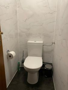 a bathroom with a white toilet and a roll of toilet paper at Sonnenhof in Kals am Großglockner