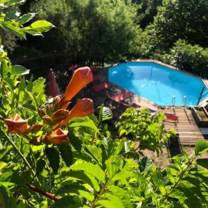 Πισίνα στο ή κοντά στο Maison de hameau avec vue imprenable et piscine +35 φωτογραφίες