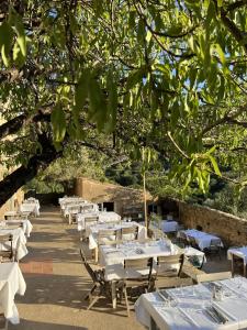 una fila di tavoli e sedie sotto un albero di Casa Musicale a Pigna