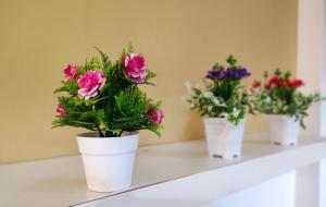 three potted flowers sitting on a shelf at Apartment Next to Axiata Arena, Stadium Bukit Jalil in Kuala Lumpur