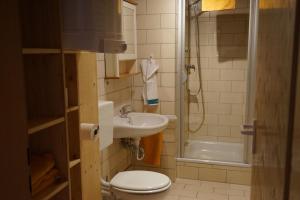 a bathroom with a toilet and a sink and a shower at Ferienhaus Napoleon in Waldmünchen +34 photos