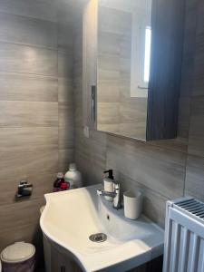 a bathroom with a white sink and a mirror at Near for Meteora in Trikokkiá