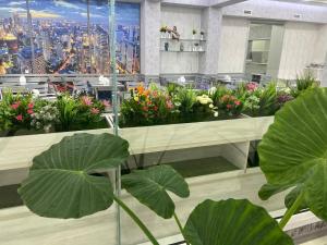 卡尔希TASHRIF HOTEL的相册照片