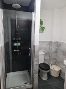 uma casa de banho com um chuveiro, um WC e um lavatório. em Luxury 2 Bedroom, and 2 Bathroom Apartment em Cardiff