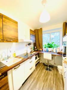 a kitchen with a sink and a counter top at HannoverMesseApartment 2 bedroom, Balcony with garden view in Hannover