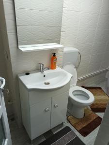 uma casa de banho com um lavatório branco e um WC. em apartament de lux em Lupeni