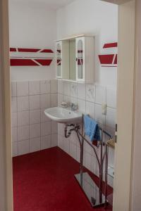 ドレスデンにあるHundemüde in Dresdenの赤いカーペットフロアのバスルーム(シンク付)