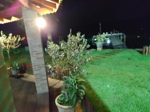 un jardin la nuit avec un arbre dans une cour dans l'établissement Rancho a beira rio 2-bedroom cottage, à Juritis