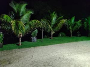 un groupe de palmiers dans un champ herbeux la nuit dans l'établissement Rancho a beira rio 2-bedroom cottage, à Juritis