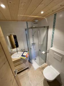 a bathroom with a shower and a toilet and a sink at Gîte Au Balcon de Passy/Plaine Joux, classé 2 ** in Passy
