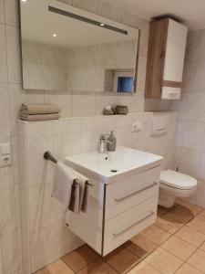 een badkamer met een wastafel, een toilet en een spiegel bij Bürgstadt, Am Bischof mit Sonnenterrasse, 1 bis 4 Betten in Buergstadt