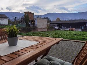 einem Holztisch mit einer Topfpflanze auf einer Terrasse in der Unterkunft Bürgstadt, Am Bischof mit Sonnenterrasse, 1 bis 4 Betten in Buergstadt