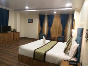 Habitación de hotel con cama y TV en Golden Oren Hotels and Spa, en Darjeeling