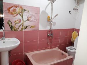 a bathroom with a sink and a tub and a toilet at Fekry home in Aswan