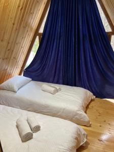 two beds in a room with a blue canopy at Green Villa Resort Blue in Dilijan