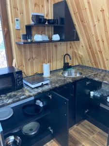 a kitchen with a counter with a sink and a microwave at Green Villa Resort Blue in Dilijan