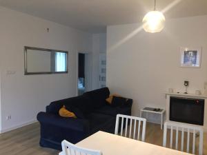 salon z kanapą i telewizorem w obiekcie Apartament IGA w Białej Podlaskiej