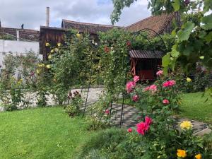 a garden with roses and a gate in front of a house at Pensiunea Flori Sibiel in Sibiel