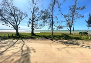 Praia Seca, 10 pessoas, em frente à lagoa do Tomé في أرارواما: مجموعة من الأشجار على شاطئ رملي