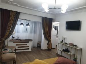 a living room with a bed and a desk and a television at Studio Sofia in Râmnicu Vâlcea +3 photos