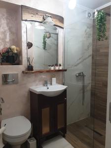 a bathroom with a toilet and a sink and a shower at Studio Sofia in Râmnicu Vâlcea
