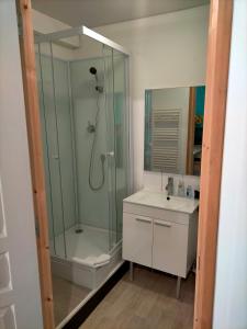 uma casa de banho com um chuveiro, um lavatório e um espelho. em studio " tournesol " au coeur du Berry em Les Bordes