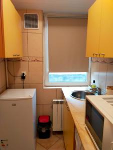 a small kitchen with a sink and a window at Victoria Residence in Bucharest