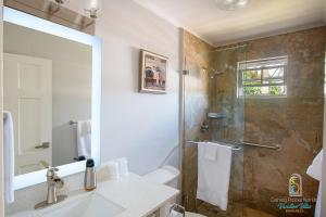 a bathroom with a shower and a sink and a mirror at Dover Court Apartments - Steps to St Lawrence Gap in Christ Church
