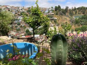 a view of a city from a garden with a cactus at Hostal brons in Valparaíso