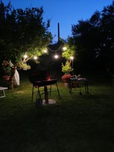 a picnic table in a yard at night with lights at La Collina del Riccio in Ortona