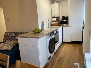 Virtuve vai virtuves zona naktsmītnē City apartment mini-spa