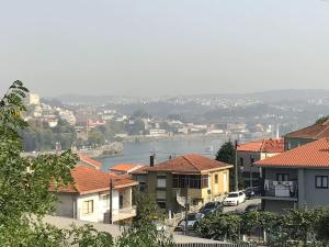 - une vue sur une ville avec des maisons et une rivière dans l'établissement The Douro Hills with pool, à Vila Nova de Gaia