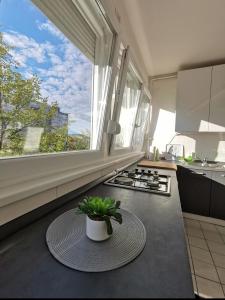 a kitchen with a potted plant sitting on the counter at Relax Central Apartment in Zagreb