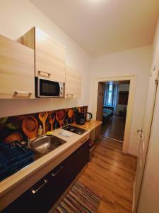 kuchnia ze zlewem i mikrofalówką w obiekcie Astoria Central Appartement 10 minutes to downtown w Wiedniu