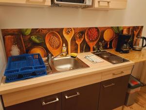 Kuchnia lub aneks kuchenny w obiekcie Astoria Central Appartement 10 minutes to downtown