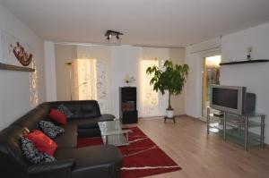 ein Wohnzimmer mit einem Ledersofa und einem TV in der Unterkunft Ferienwohnung im Weinbergweg in Quedlinburg