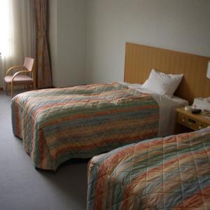 a hotel room with two beds and a chair at Kyukamura Oku-Daisen in Daisen