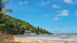 a beach with a bunch of trees and the ocean at Maison de Bourda in Cayenne