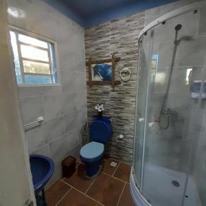 La salle de bains est pourvue d'une douche et de toilettes bleues. dans l'établissement EL DESPERTAR, à Nueva Palmira