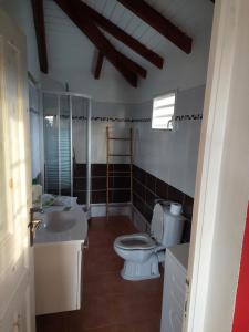 ein Badezimmer mit Toilette und Waschbecken in der Unterkunft ÉLÉGANT APPARTEMENT À LA CAMPAGNE in Sainte-Anne