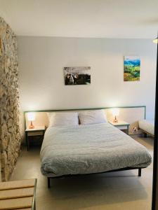 een slaapkamer met een bed en 2 tafels met lampen bij Le Jorjane in Choranche