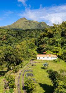 a house in a field with a mountain in the background at LE DOMAINE DE LA VALLEE in Le Morne Rouge