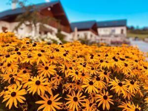 Fotografia z galérie ubytovania Chaty Krušetnica s luxusným privátnym wellness v destinácii Krušetnica