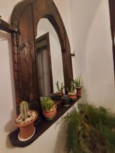 Zahrada ubytování Riad dar Karam