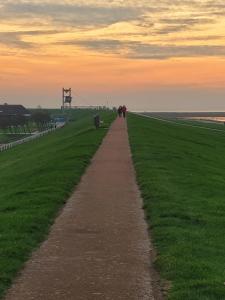 a path in a field with two horses walking down it at Deichwohnung Strandweg 7 in Friedrichskoog-Spitz +7 photos