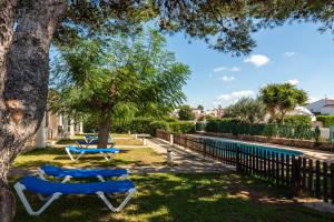 two blue picnic tables under a tree next to a pool at Bungalows Ses Malvas in Cala en Blanes