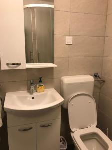 a bathroom with a toilet and a sink and a mirror at Family friendly holiday home "Ana" in Šibenik