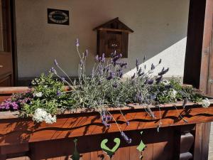 Zahrada ubytování Hotel Villa Milano